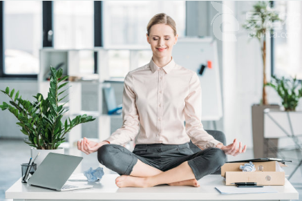 2020年为什么植物租摆能够受到顾客的火热欢迎